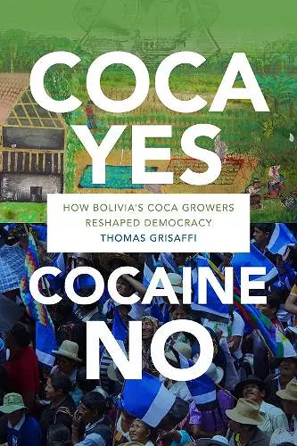 Coca Yes, Cocaine No cover