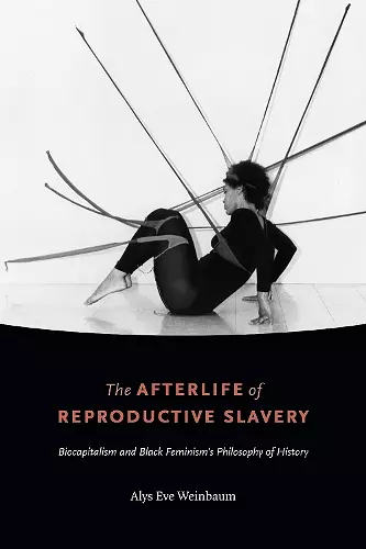 The Afterlife of Reproductive Slavery cover