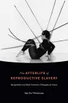 The Afterlife of Reproductive Slavery cover