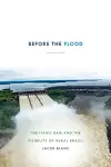 Before the Flood cover