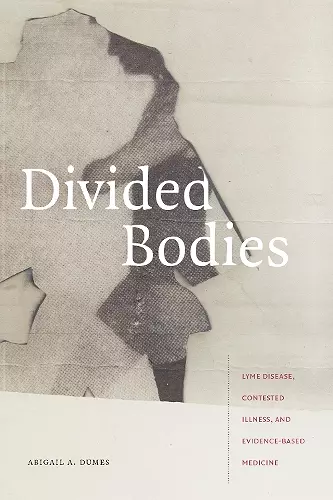 Divided Bodies cover