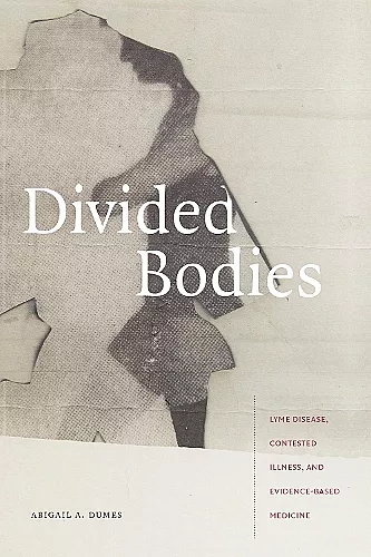 Divided Bodies cover