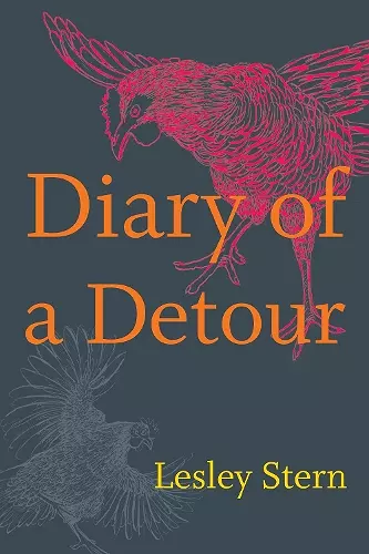 Diary of a Detour cover