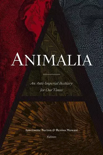 Animalia cover