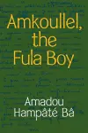 Amkoullel, the Fula Boy cover