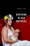 Birthing Black Mothers cover