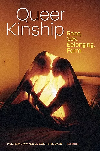 Queer Kinship cover
