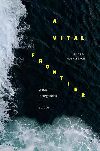 A Vital Frontier cover