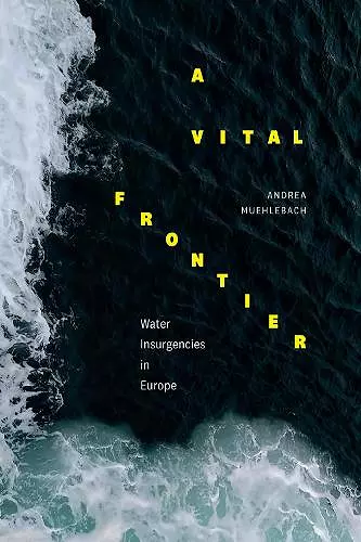 A Vital Frontier cover