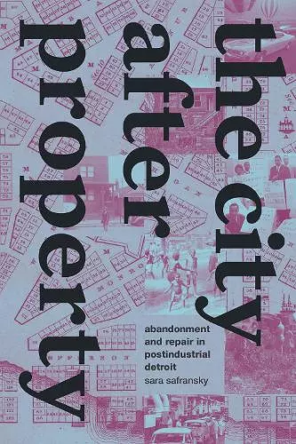 The City After Property cover