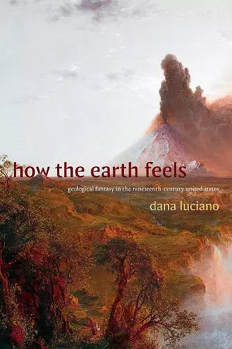 How the Earth Feels cover