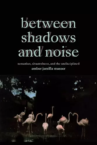 Between Shadows and Noise cover