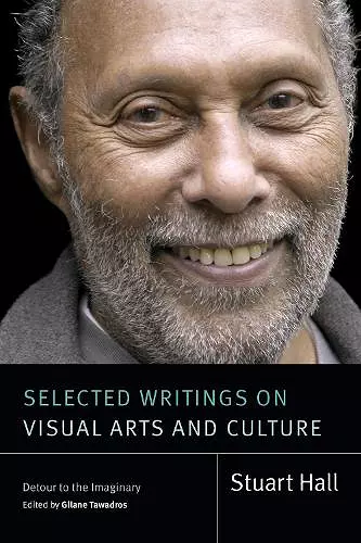 Selected Writings on Visual Arts and Culture cover