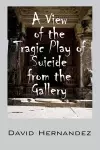 A View of the Tragic Play of Suicide from the Gallery cover
