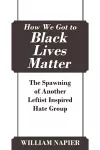 How We Got to Black Lives Matter cover