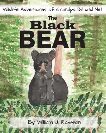 The Black Bear cover