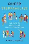 Queer Stepfamilies cover