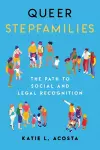 Queer Stepfamilies cover