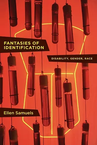 Fantasies of Identification cover