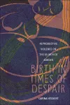 Birth in Times of Despair cover