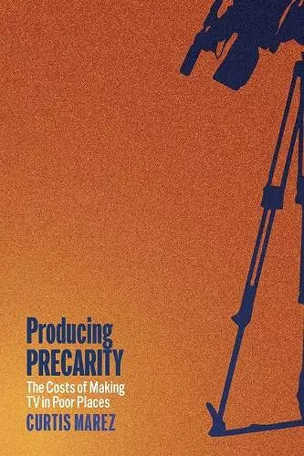Producing Precarity cover
