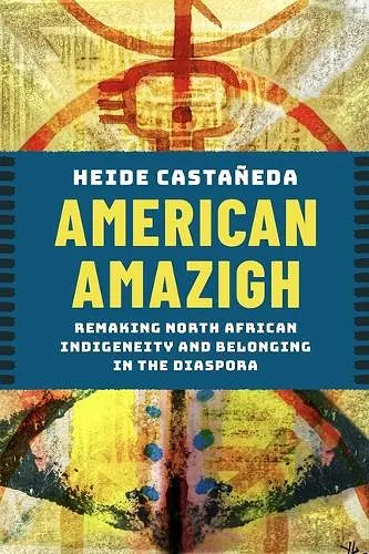 American Amazigh cover