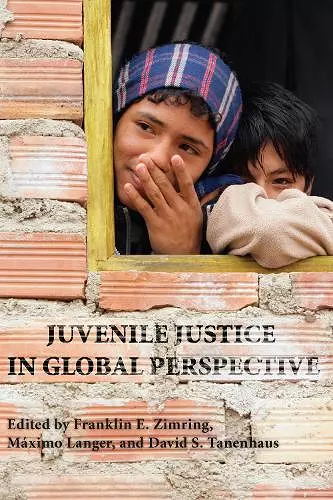 Juvenile Justice in Global Perspective cover