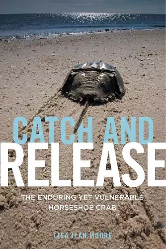 Catch and Release cover