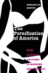 The Pornification of America cover
