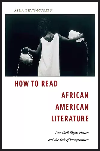 How to Read African American Literature cover