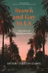 Brown and Gay in LA cover