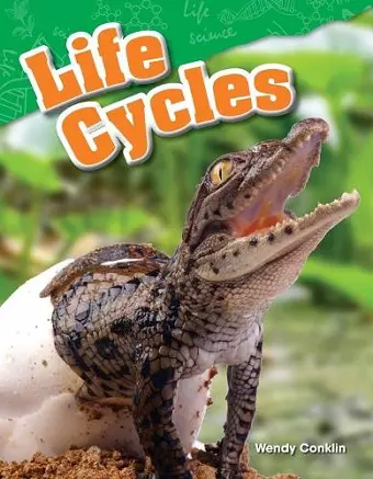 Life Cycles cover