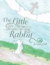 The Little Bunny Rabbit cover