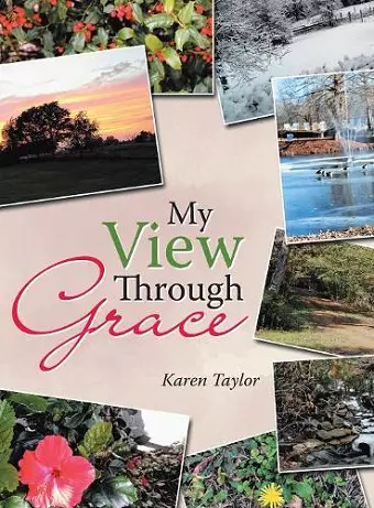 My View Through Grace cover