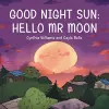 Good Night Sun cover