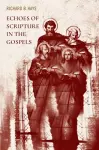 Echoes of Scripture in the Gospels cover