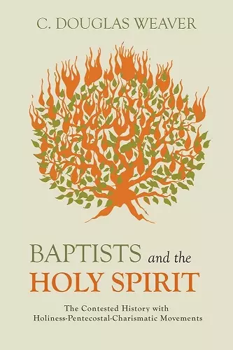 Baptists and the Holy Spirit cover