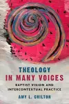 Theology in Many Voices cover