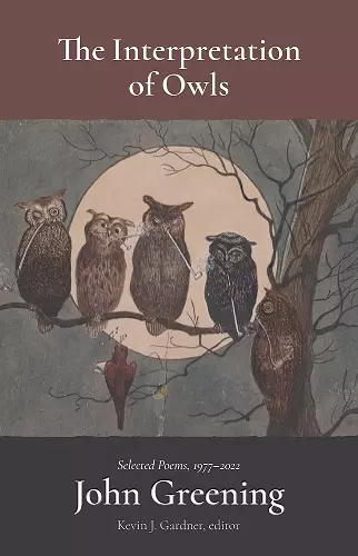 The Interpretation of Owls cover