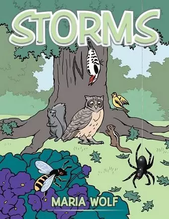 Storms cover