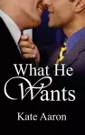 What He Wants cover