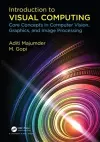 Introduction to Visual Computing cover