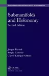 Submanifolds and Holonomy cover