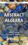 Abstract Algebra cover