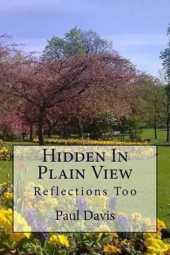 Hidden in Plain View cover