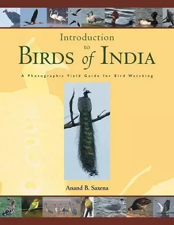 Birds of India cover