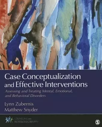 Case Conceptualization and Effective Interventions cover