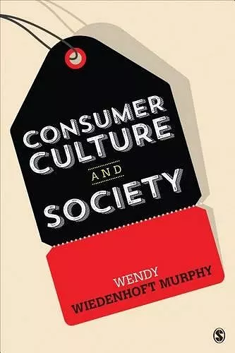 Consumer Culture and Society cover