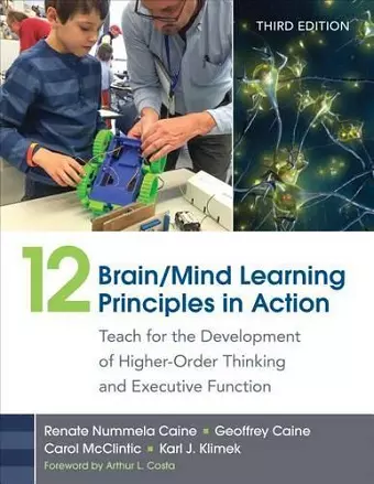 12 Brain/Mind Learning Principles in Action cover