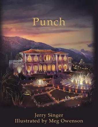 Punch cover